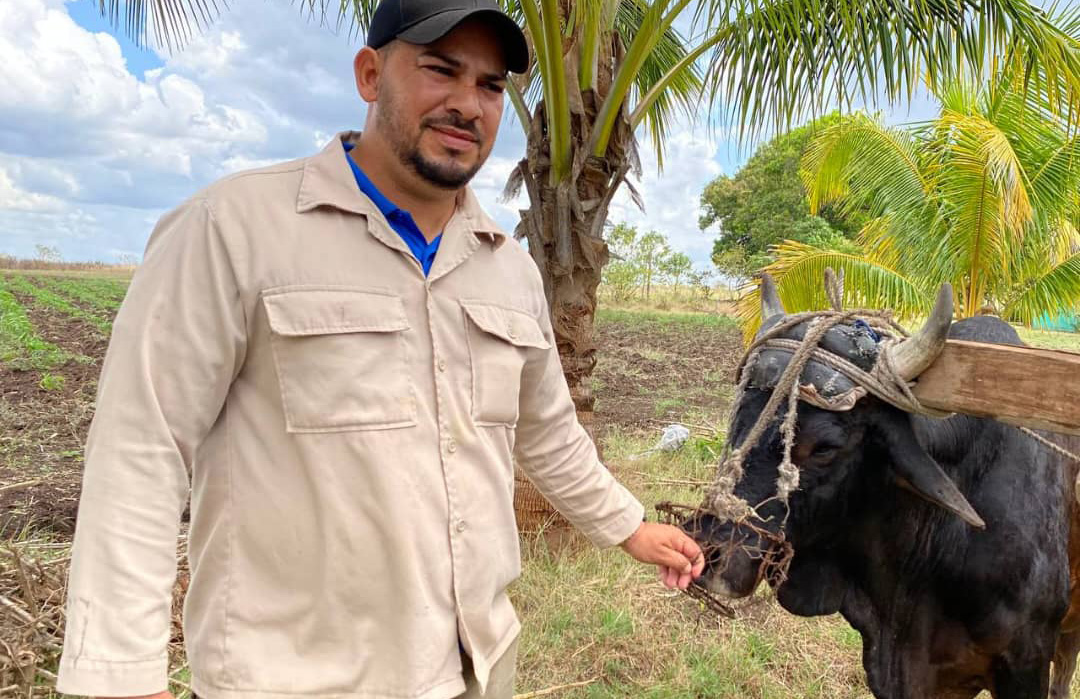 Destaca productor camagüeyano en aporte de alimentos al pueblo (+ Fotos)