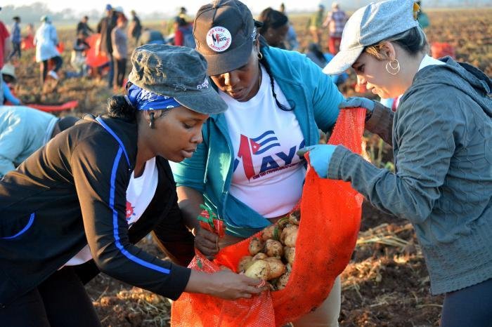 Central de Trabajadores de Cuba convoca a desfilar el 1ro de Mayo (+ Post)