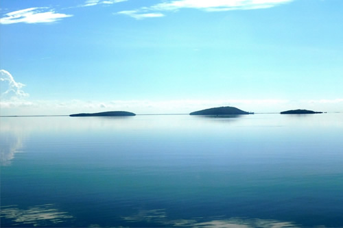 Nuevitas implementa proyectos de conservación para proteger flora y fauna amenazadas