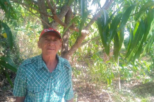 La llegada de la lluvia: un renacer para los cultivos de Eduardo