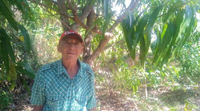 La llegada de la lluvia: un renacer para los cultivos de Eduardo