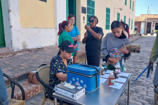 Bienestar animal: tarea de todos los días (+ Fotos)