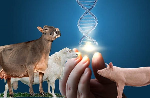 Camagüey fortalece liderazgo en producción animal y sostenibilidad en Día de la Tierra