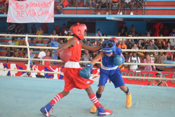 Boxeo Pioneril: el relevo más garantizado
