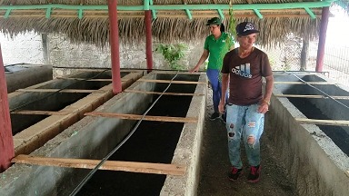 Más centros en Camagüey para la producción de abono orgánico