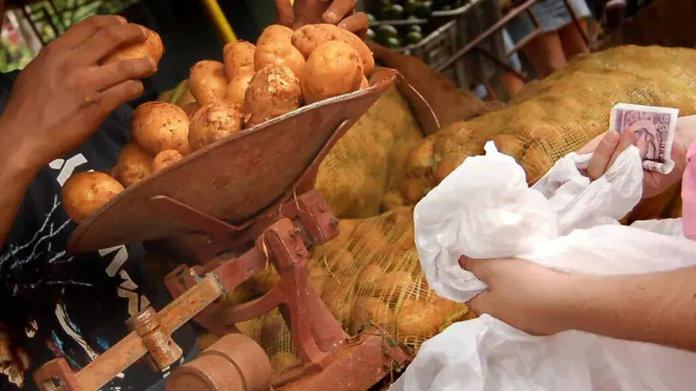 Distribuyen papa de la canasta normada