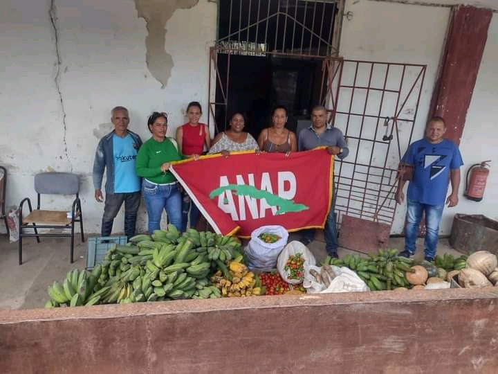 Campesinos de Minas donan alimentos al hospital René Vallejo en acto solidario