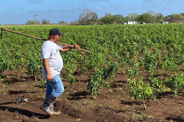 La nueva ruta de Gabriel hacia la agricultura (+ Fotos)