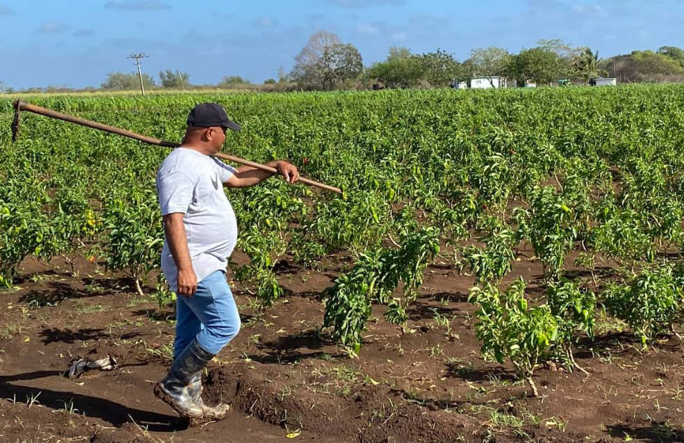 La nueva ruta de Gabriel hacia la agricultura (+ Fotos)