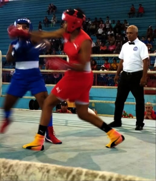 Boxeo con pruebas nacionales en Camagüey