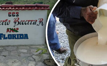 Cooperativa floridana busca acercarse al millón en la producción lechera
