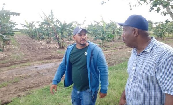 Intercambió primer secretario del Partido en Camagüey con productores agropecuarios en Florida (+ Posts)