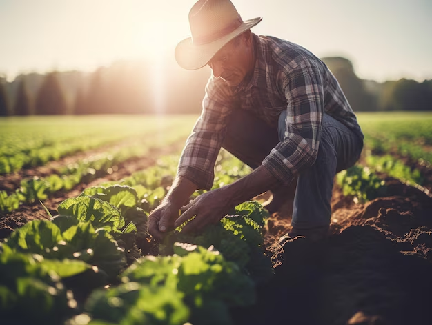 Reforma Agraria impartió justicia en los campos de Cuba