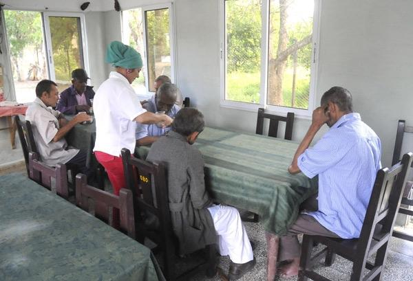Trabaja Camagüey por mejorar atención de los deambulantes