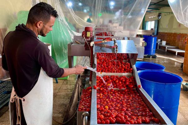 Garantiza producciones minindustria con avanzada tecnología (+ Fotos)