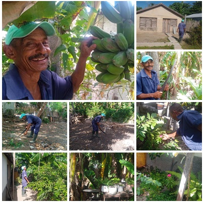 Reinerio Mora convierte su patio en oasis de vida, fertilidad y solidaridad comunitaria