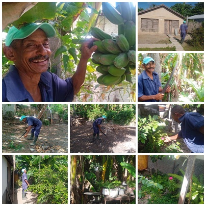 Reinerio Mora convierte su patio en oasis de vida, fertilidad y solidaridad comunitaria