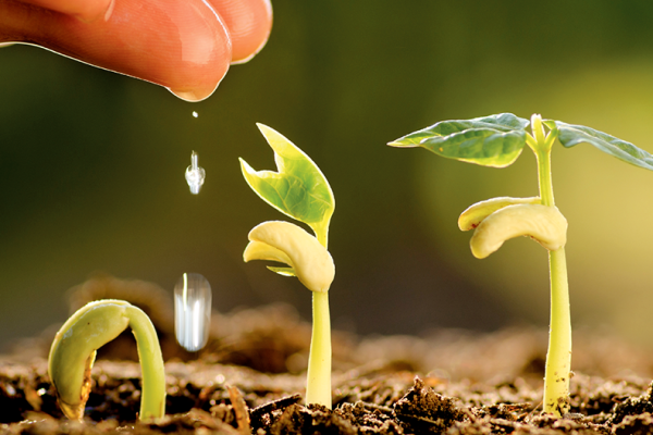 Impulsa Camagüey acciones de conservación del suelo y mejora en áreas productivas