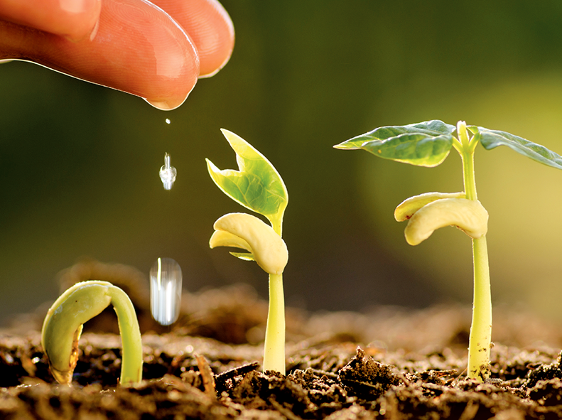 Impulsa Camagüey acciones de conservación del suelo y mejora en áreas productivas