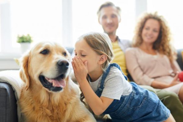 La IA podría ayudarnos a