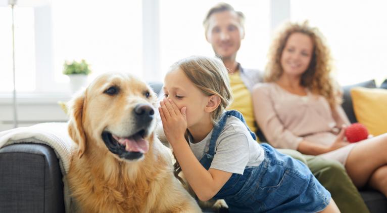La IA podría ayudarnos a