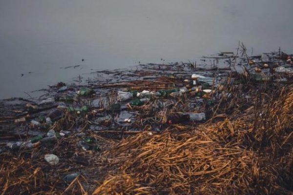 El mundo genera 220 millones de toneladas de plástico