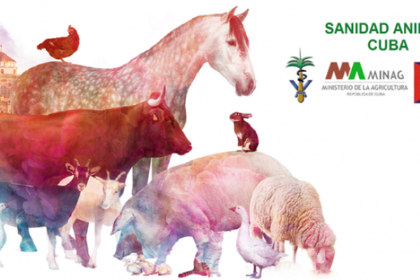 Gen mcr-1 amenaza tratamientos a infecciones bacterianas