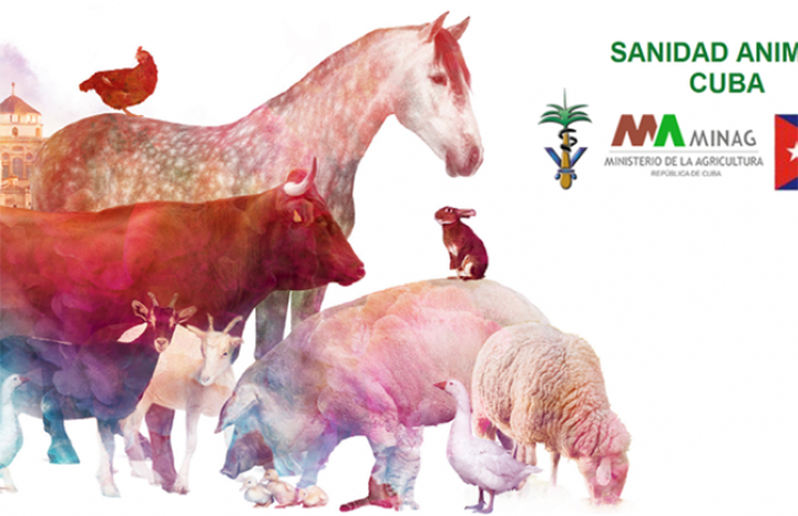 Gen mcr-1 amenaza tratamientos a infecciones bacterianas