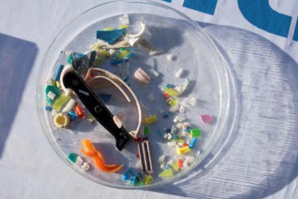 Crean chicle con enzimas para degradar microplásticos que comemos