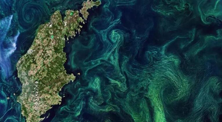 La fotosíntesis está aumentando a nivel global