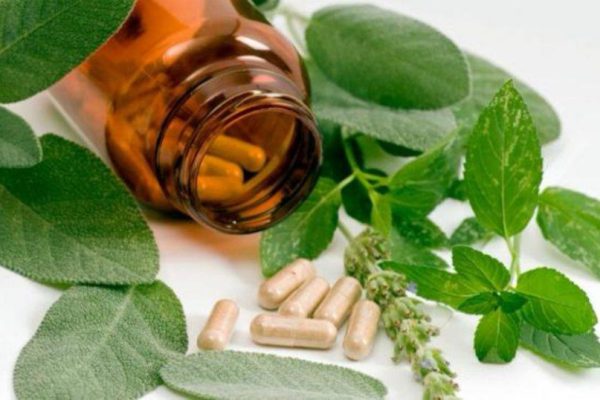 Cuba con expertos en prestigioso taller en India sobre herbarios