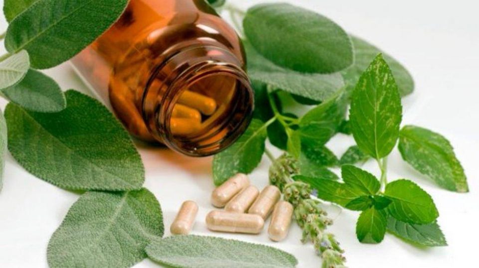 Cuba con expertos en prestigioso taller en India sobre herbarios