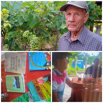 Creación de patios y parcelas en territorio santacruceño lleva trabajo y ciencia