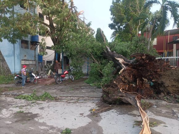 Tormenta local severa en Guantánamo causa daños materiales sin víctimas humanas