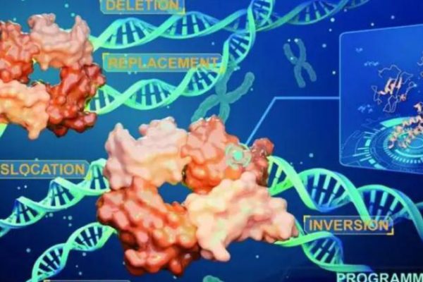 Técnicas modifican los cromosomas sin dejar rastros