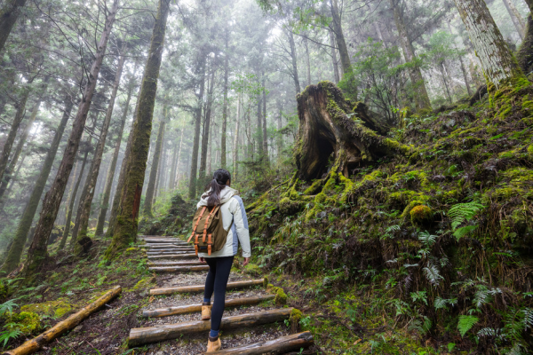 15 minutos en la naturaleza cambian tu cerebro