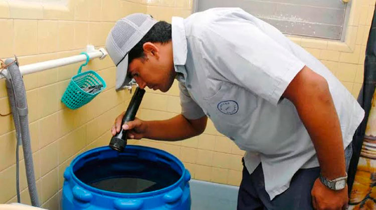 Presenta Camagüey incremento de casos de dengue