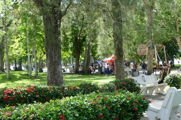 El pulmón verde de Camagüey
