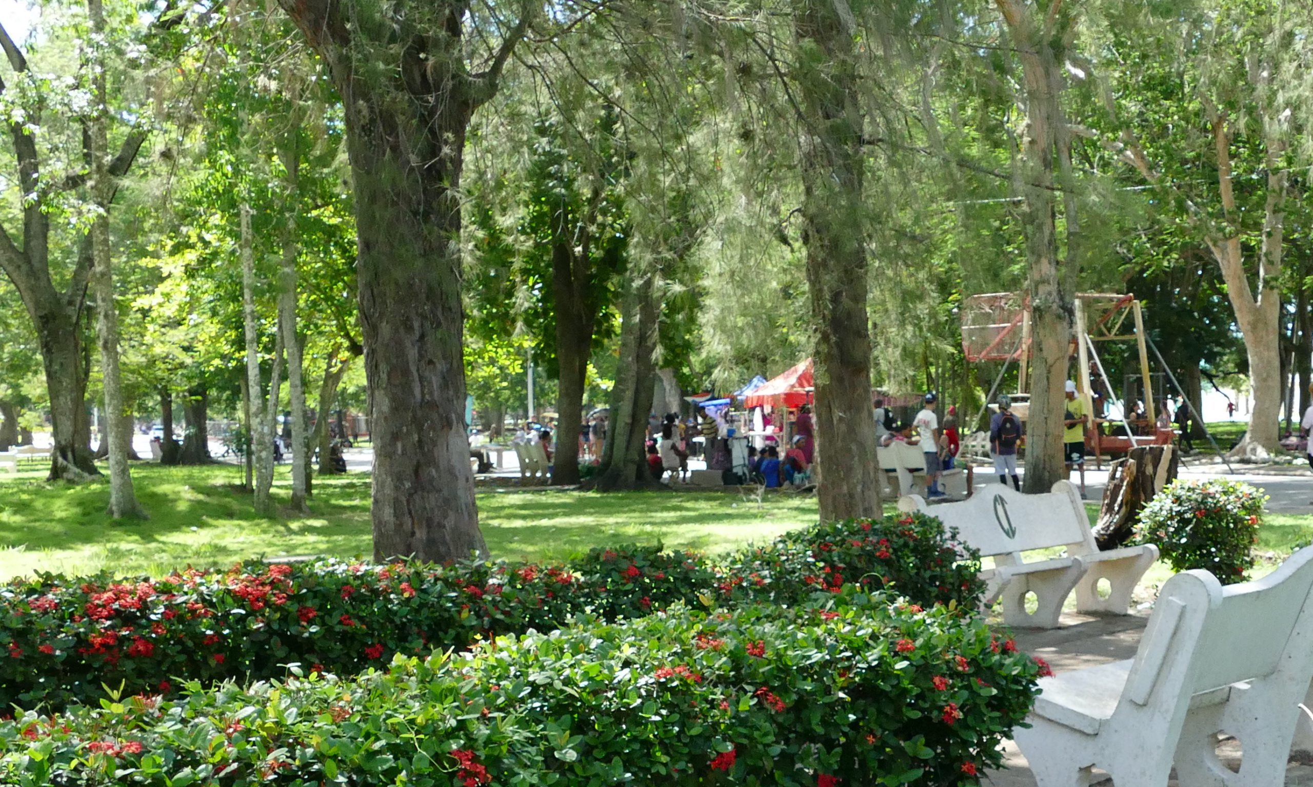 El pulmón verde de Camagüey