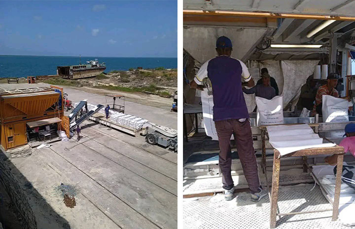 Aseguran descarga y transportación de arroz desde Nuevitas