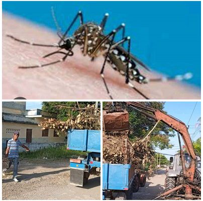 Higienización sistemática ayuda a proteger la salud de los santacruceños