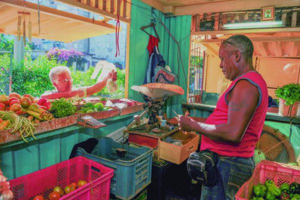 El Programa de Gobierno es determinante en la batalla económica para la construcción socialista