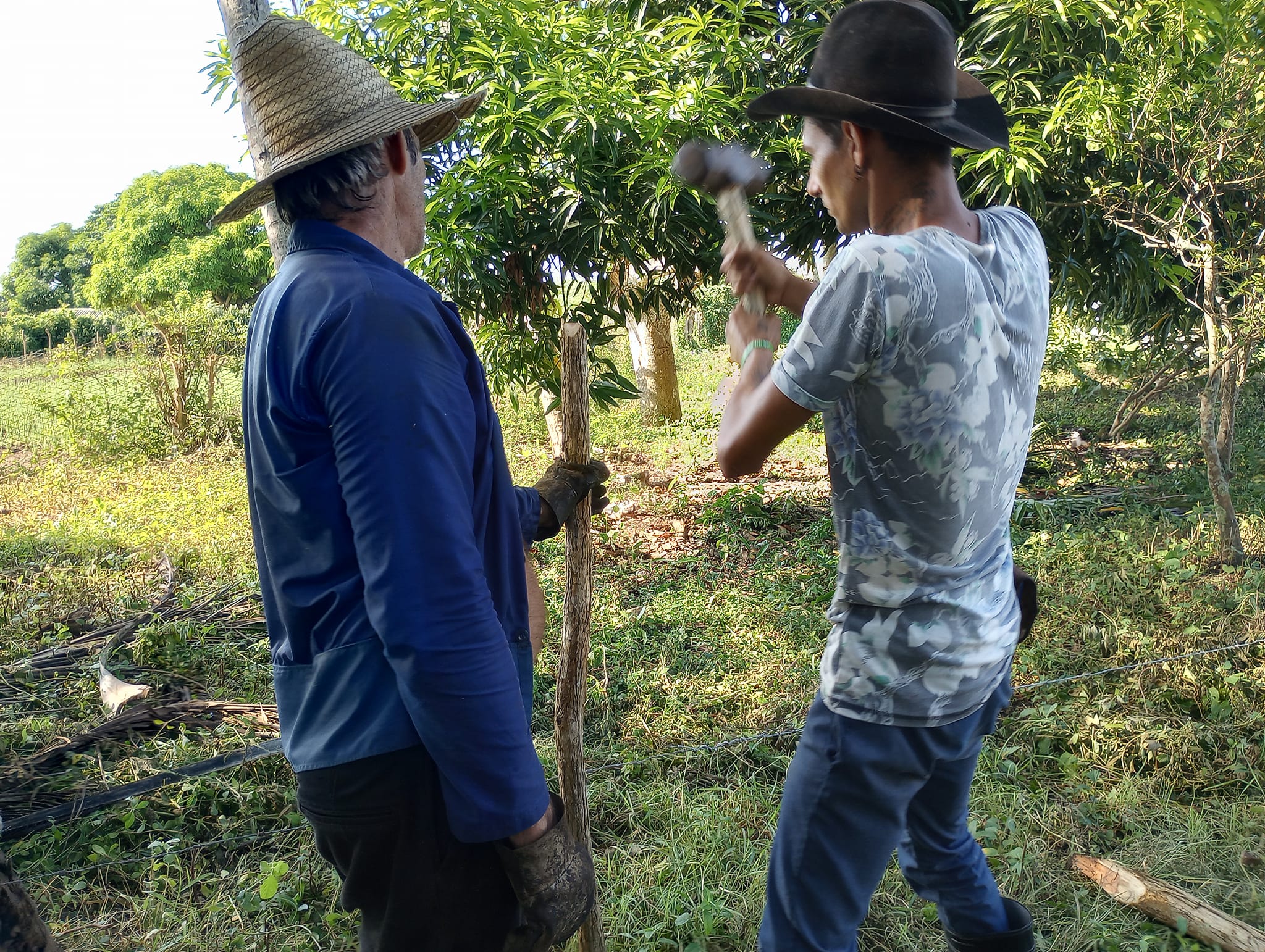 De la construcción a la tierra: una nueva vida en el surco (+ Fotos)