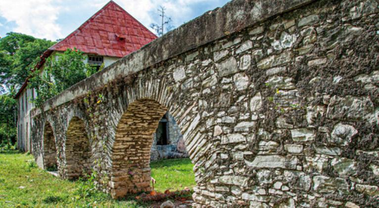 Celebran 25 años de Paisaje Cafetalero Patrimonio de la Humanidad