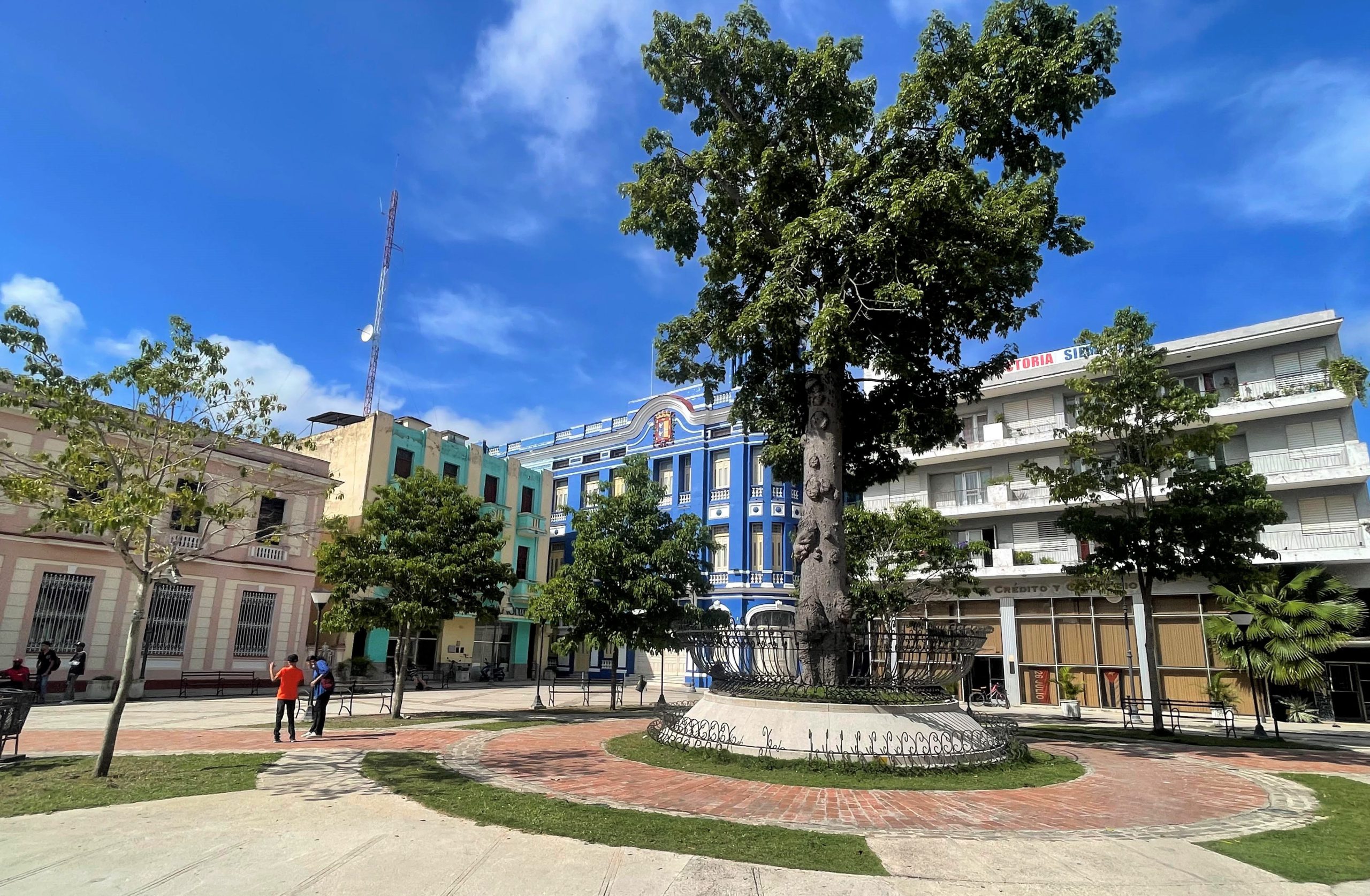 A la Ceiba no la toca ni un rayo