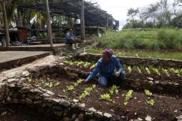 Concluye en Cuba IX Encuentro Internacional de Agroecología
