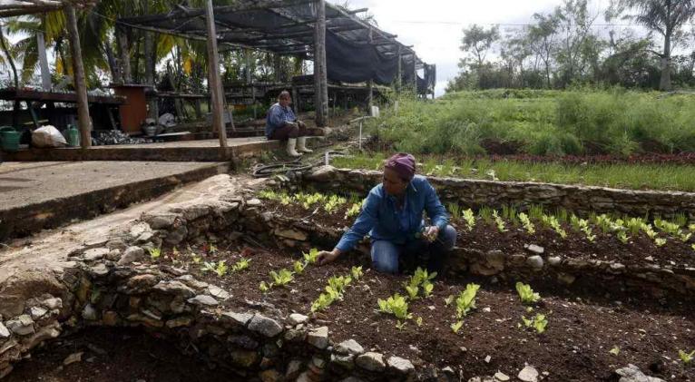 Concluye en Cuba IX Encuentro Internacional de Agroecología