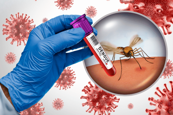 Dengue y chikungunya: una amenaza actual que exige acción comunitaria inmediata