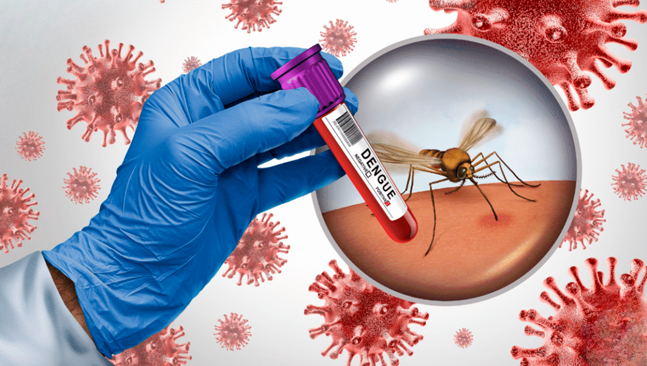 Dengue y chikungunya: una amenaza actual que exige acción comunitaria inmediata