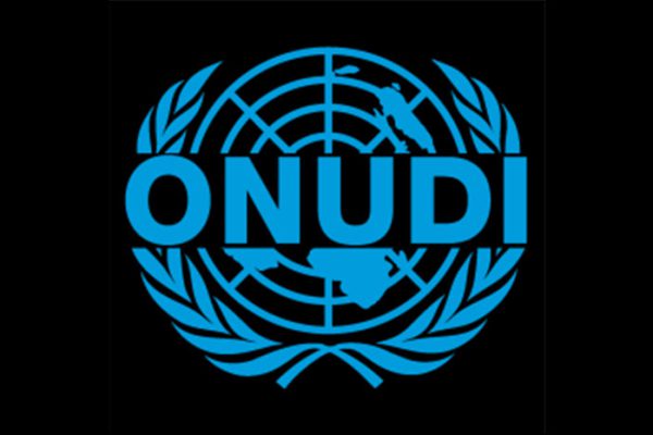 Proyecta ONUDI nuevos programas de cooperación